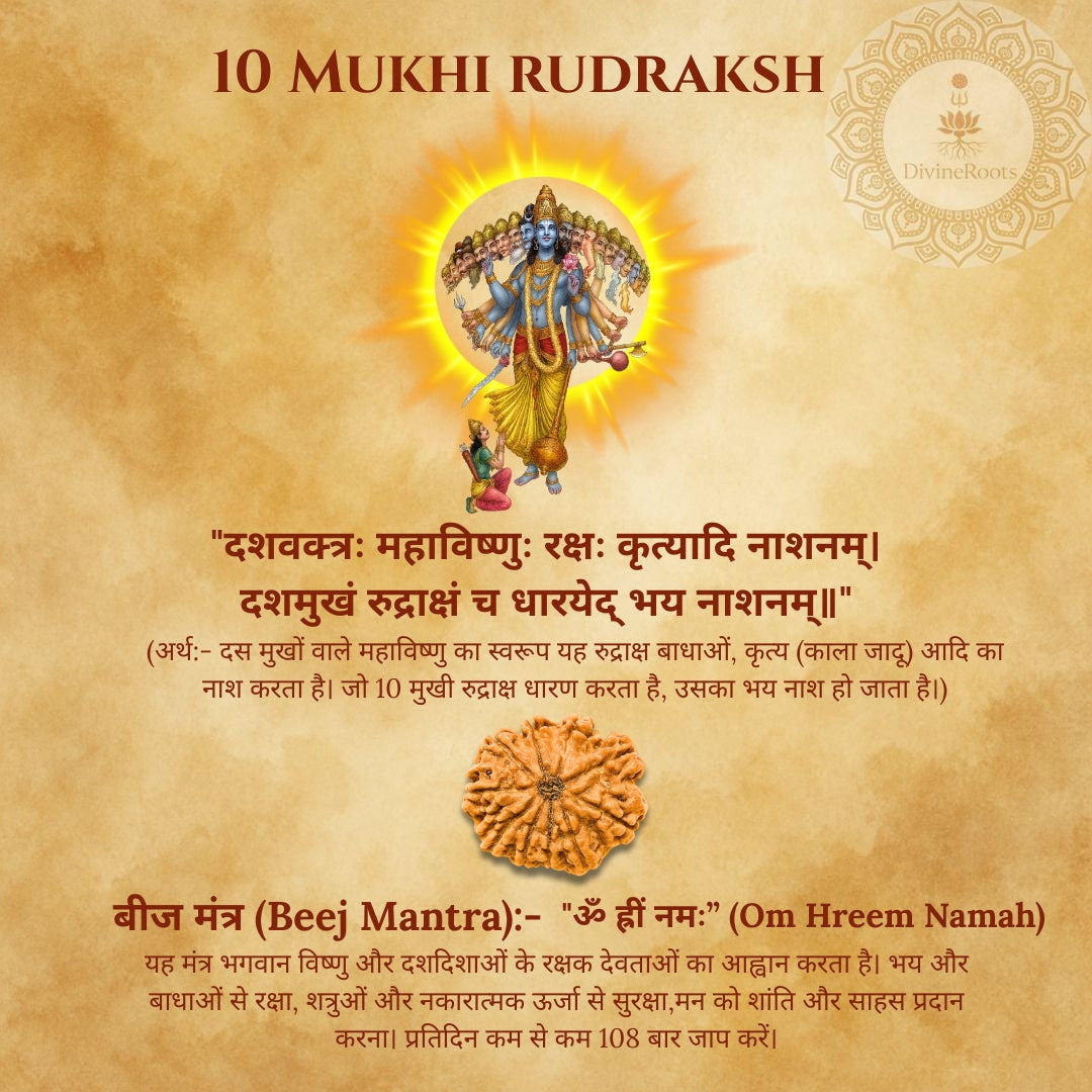 10 Mukhi Rudraksh with Devi Durga illustration on a textured background
