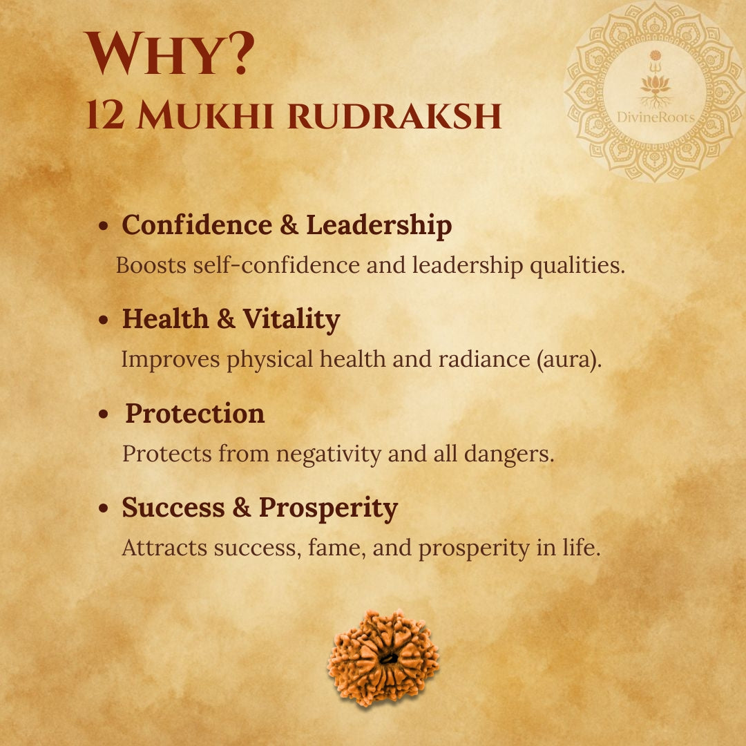 Promotional graphic for 12 Mukhi Rudraksh with benefits listed on a textured background.