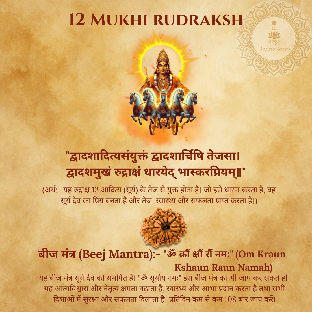 12 Mukhi Rudraksh with a central figure on a textured background
