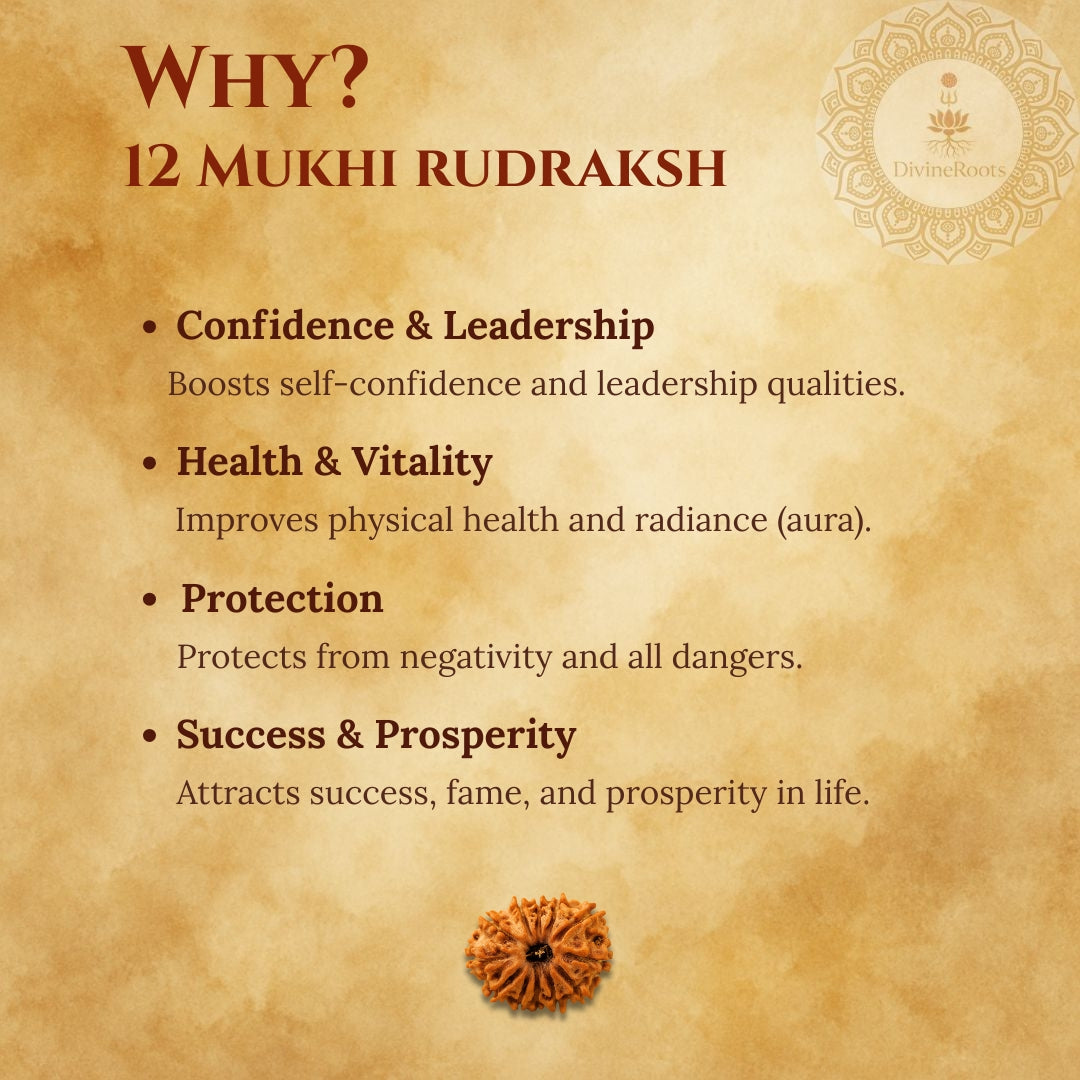 Promotional graphic for 12 Mukhi Rudraksh with benefits listed on a textured background.