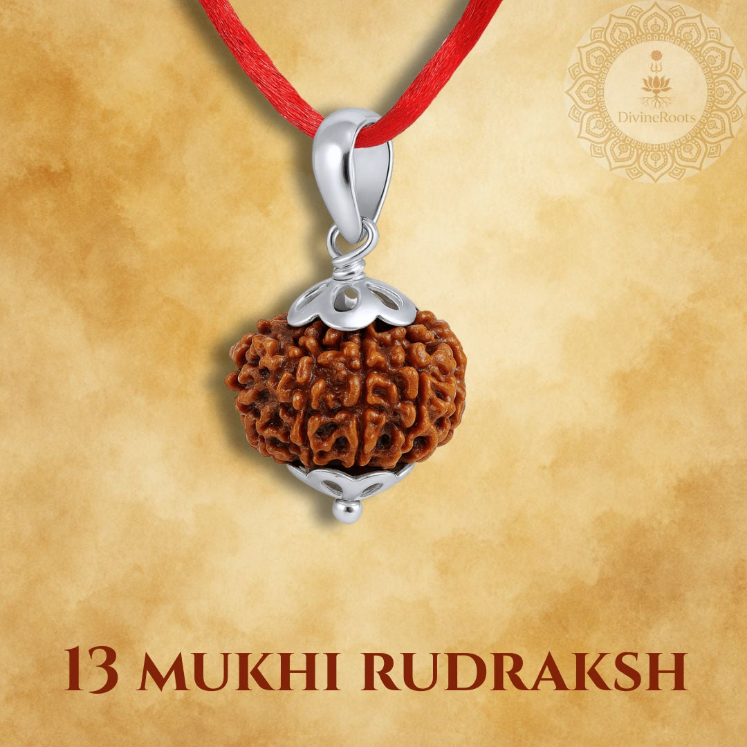 13 Mukhi Rudraksh pendant with silver setting on a red cord against a beige background