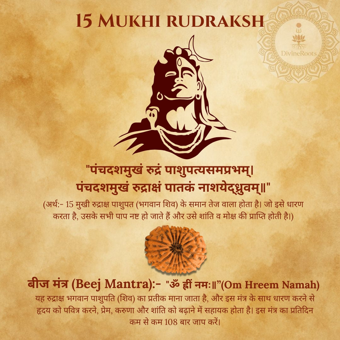 15 Mukhi Rudraksh with Lord Shiva illustration on a textured brown background