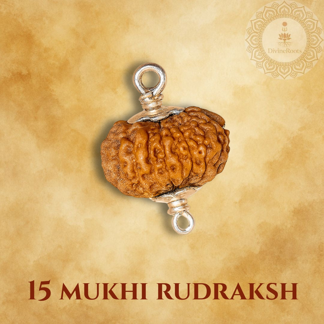 15 Mukhi Rudraksh pendant on a beige background with 'Divine Store' logo.