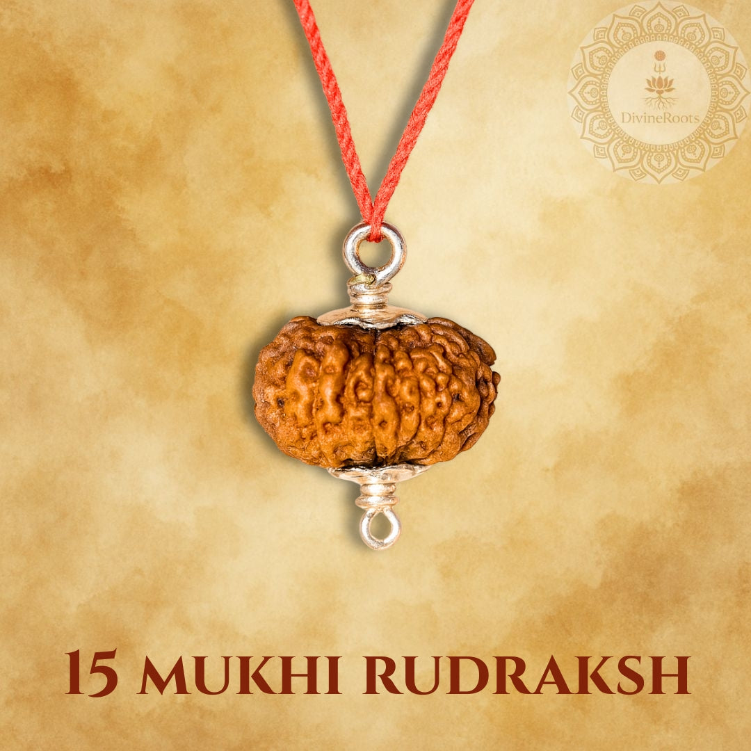 15 Mukhi Rudraksh pendant on a red string with a beige background
