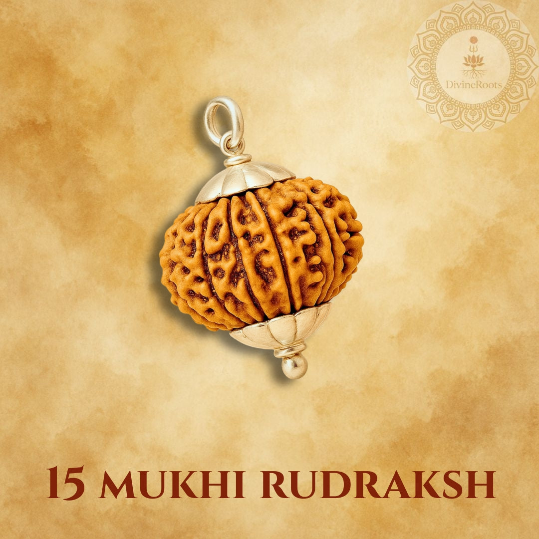 15 Mukhi Rudraksh pendant with silver cap on a beige background