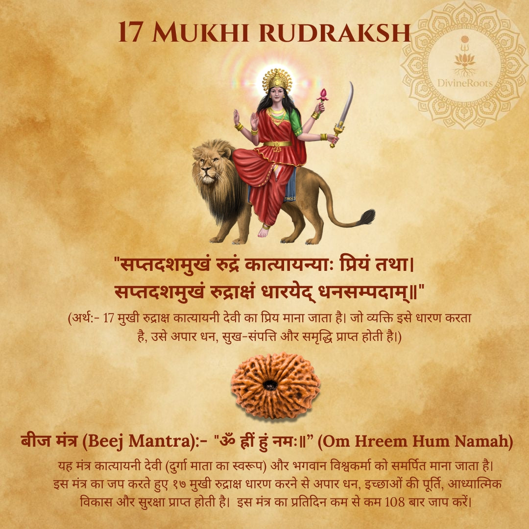 17 Mukhi Rudraksh with a lion and text on a brown background