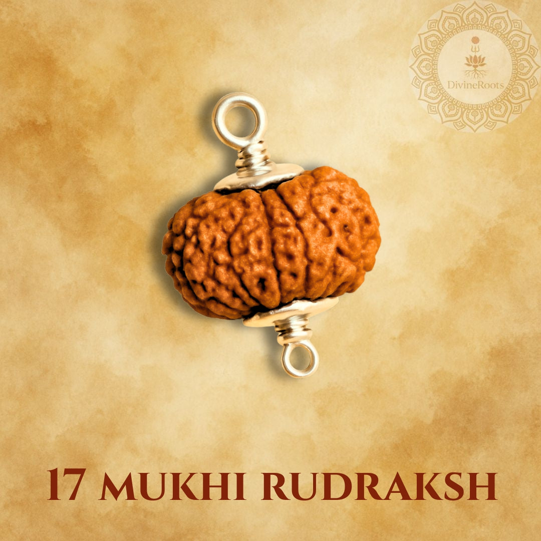 17 Mukhi Rudraksh pendant on a beige background with 'Divine Store' logo.
