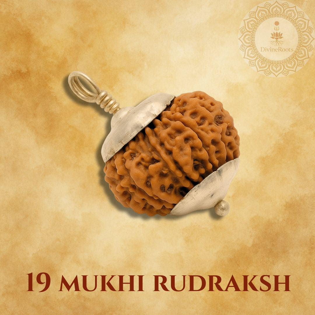 19 Mukhi Rudraksh pendant on a beige background with a brand logo.