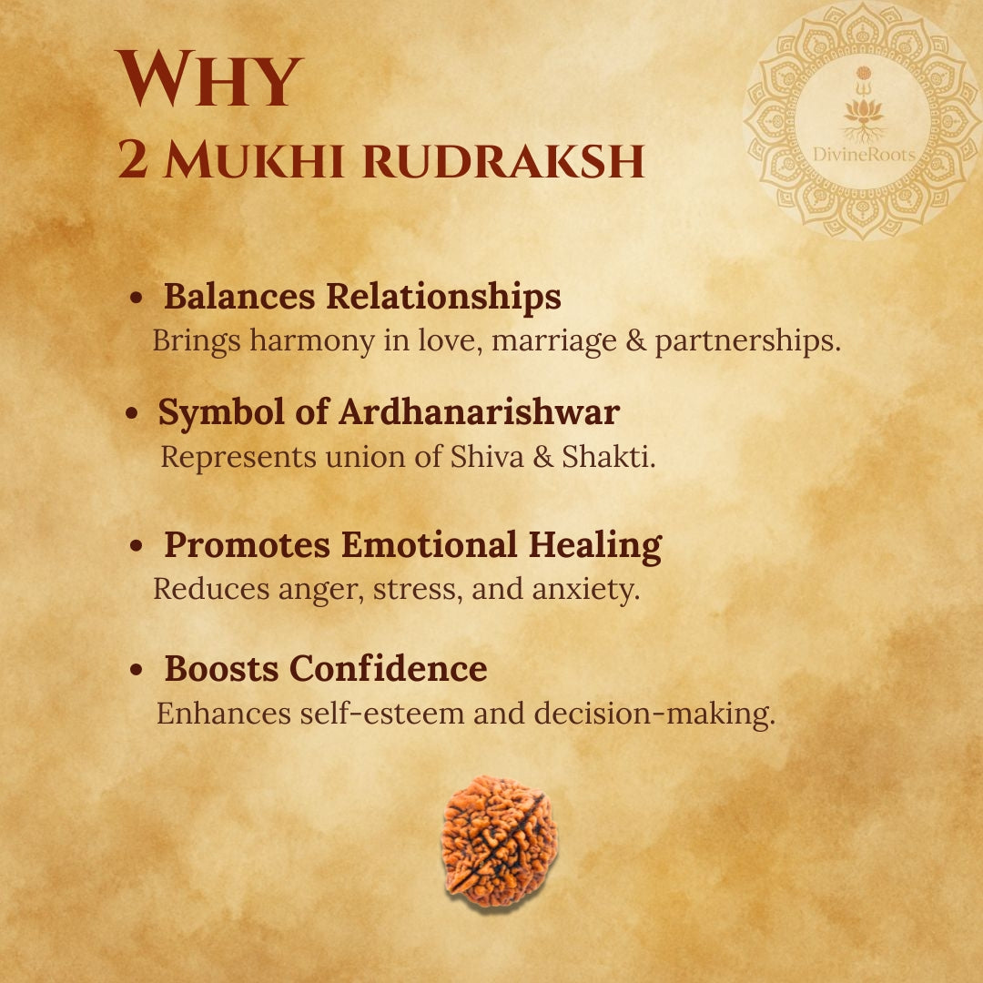 Promotional graphic about the benefits of 2 Mukhi Rudraksh with text and rudraksh stone on a textured background.