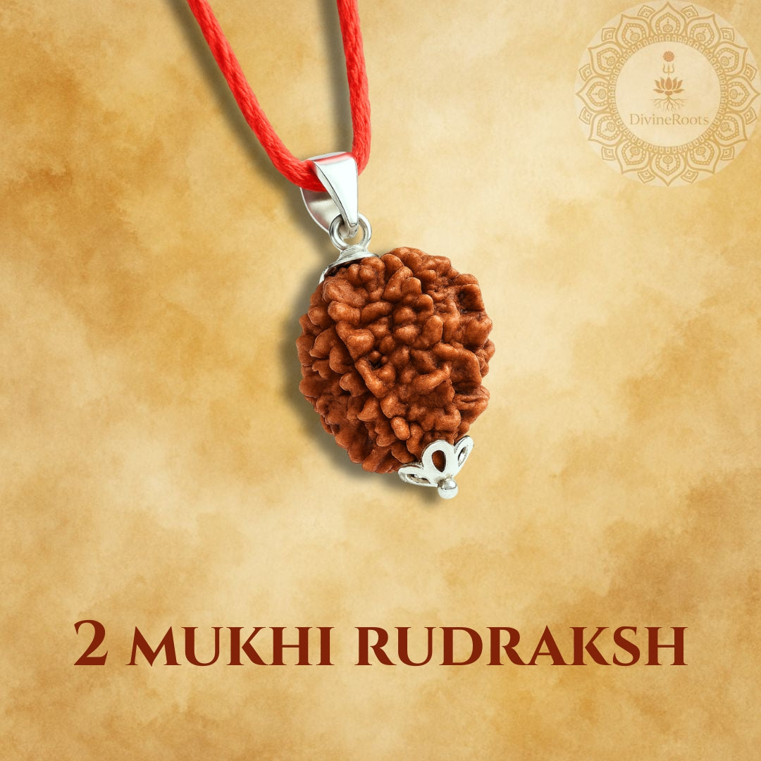 Two Mukhi Rudraksh pendant on a red cord with a beige background