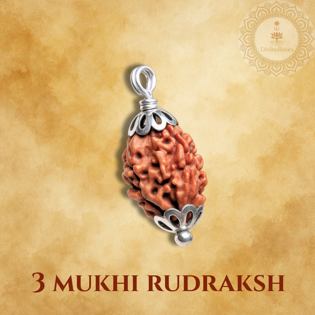 Three-armed Rudraksha pendant with silver setting on a beige background
