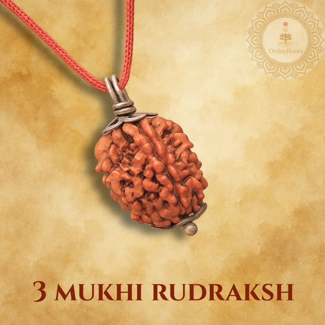 Three Mukhi Rudraksh pendant on a red cord with a beige background