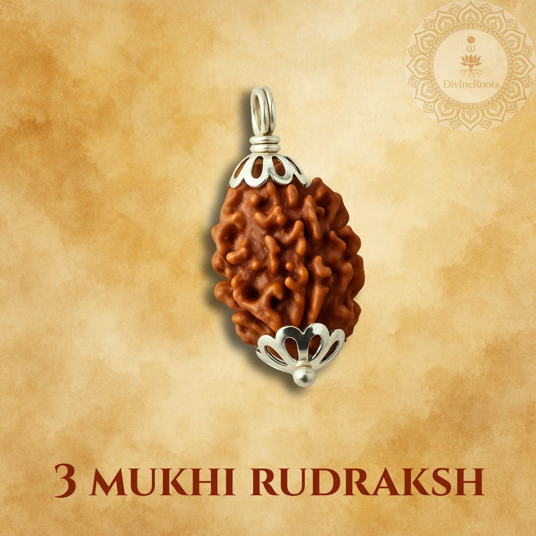 Three Mukhi Rudraksh pendant with silver setting on a beige background