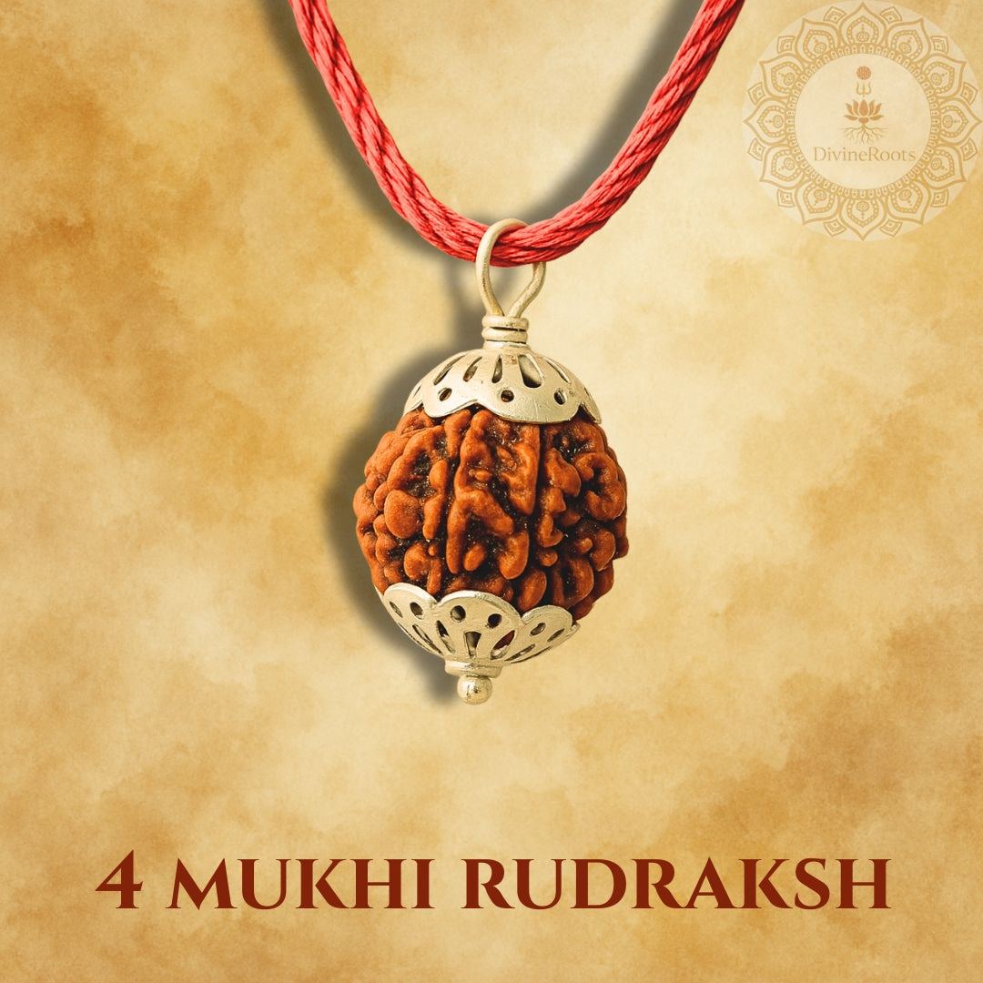 4 Mukhi Rudraksh pendant on a red cord with a decorative background