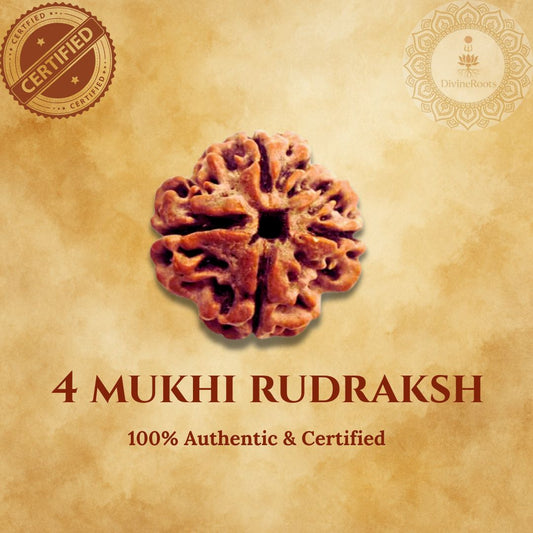 4 Mukhi Rudraksh Nepali on a beige background with certification logos.