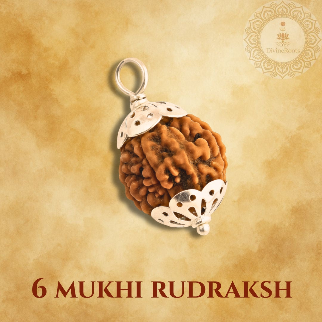6 Mukhi Rudraksh pendant with silver setting on a beige background