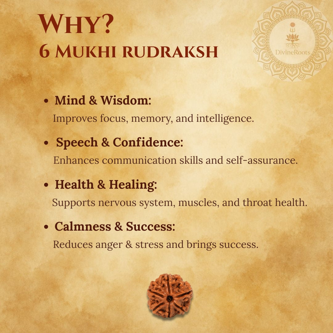 Promotional graphic for 6 Mukhi Rudraksh with benefits listed on a textured background.
