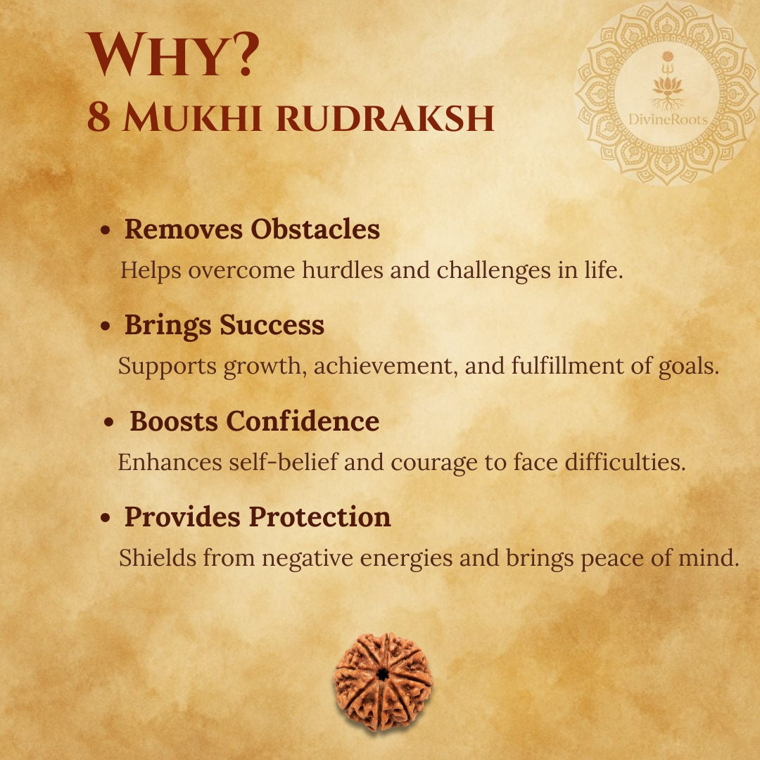 Promotional graphic for 8 Mukhi Rudraksh with benefits listed on a textured background.