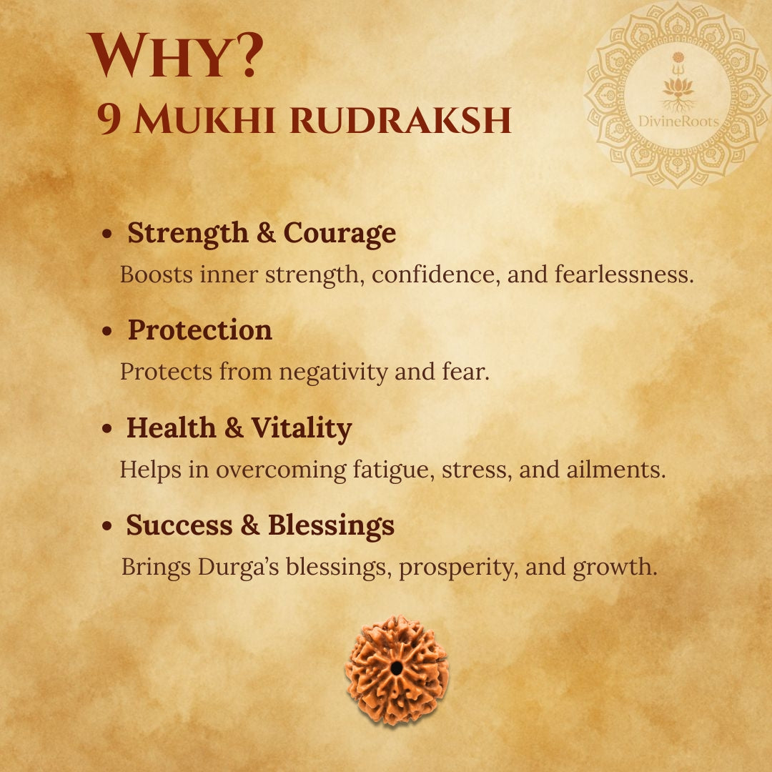 9 Mukhi Rudraksh benefits on a textured brown background with a Rudraksh stone illustration.