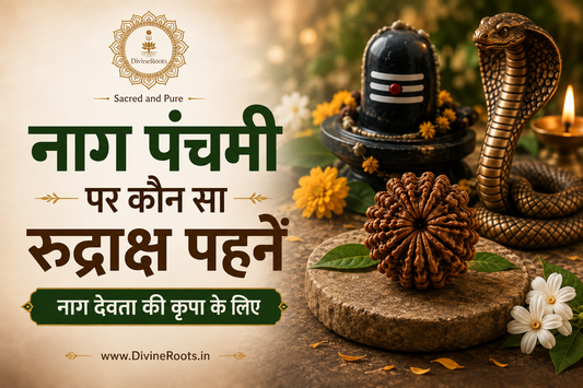 नाग पंचमी पर कौन सा रुद्राक्ष पहनें विषय की DivineRoots blog hero image, जिसमें रुद्राक्ष, शिवलिंग, नाग, दीपक और नाग देवता की कृपा का devotional symbolism दिखाया गया है।
