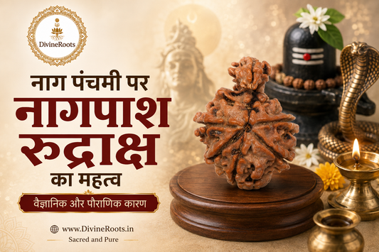 नाग पंचमी पर नागपाश रुद्राक्ष का महत्व दर्शाती DivineRoots blog hero image, जिसमें वास्तविक नागपाश रुद्राक्ष, शिवलिंग, नाग और दीपक के साथ इसके वैज्ञानिक और पौराणिक कारण दिखाए गए हैं।