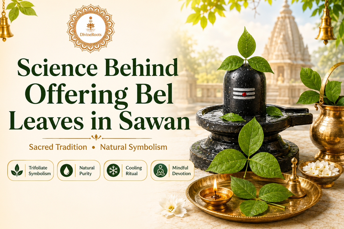 DivineRoots infographic showing Bel leaves offered on Shivling in Sawan with diya, temple background, brass puja items and sacred Shiva Puja theme, explaining the science and spiritual symbolism behind offering Bel Patra