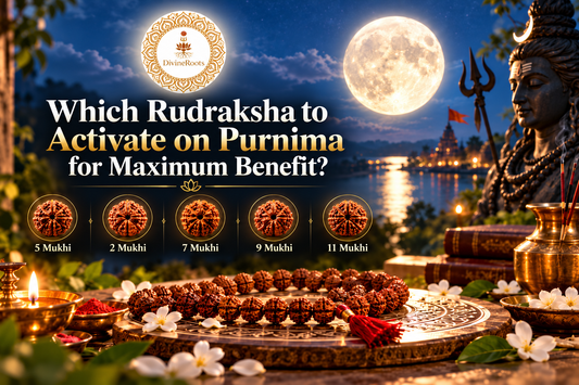 DivineRoots blog hero image showing Lord Shiva, a glowing Purnima full moon, Rudraksha mala, and 5 Mukhi, 2 Mukhi, 7 Mukhi, 9 Mukhi and 11 Mukhi Rudraksha for different spiritual intentions and full-moon activation practices.