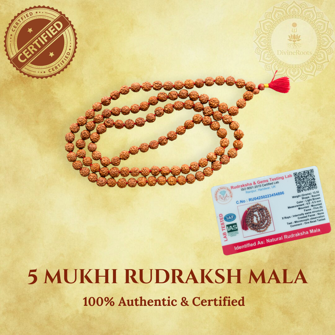 5 Mukhi Rudraksha Mala (108+1 Beads)