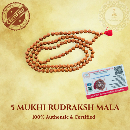 5 Mukhi Rudraksha Mala (108+1 Beads)