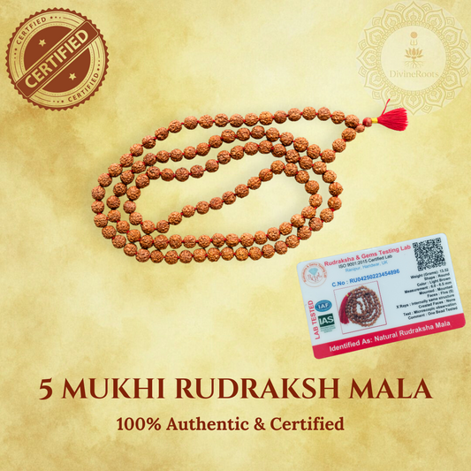 5 Mukhi Rudraksh Mala with certification card on a beige background