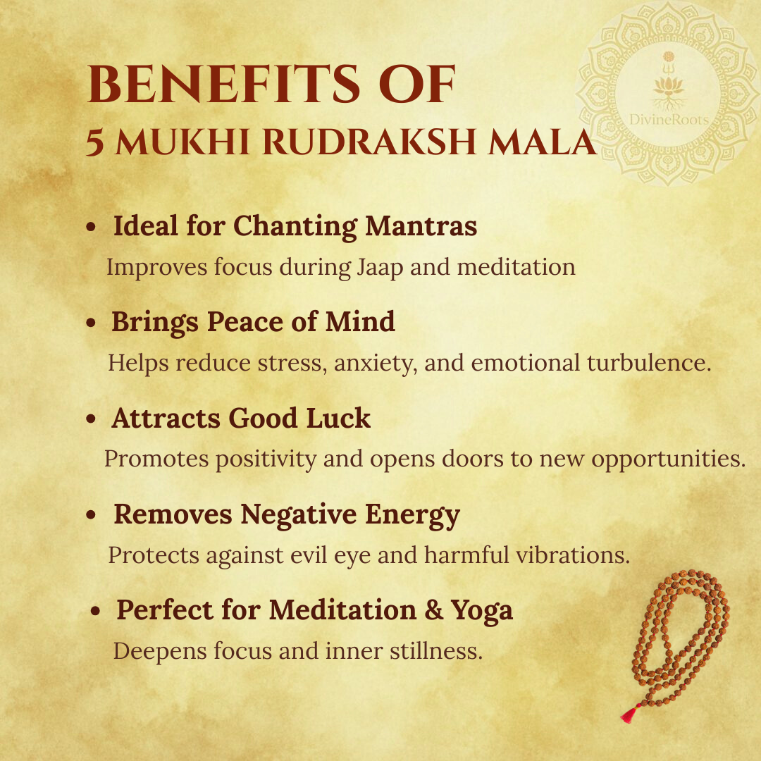 5 Mukhi Rudraksha Mala (108+1 Beads)