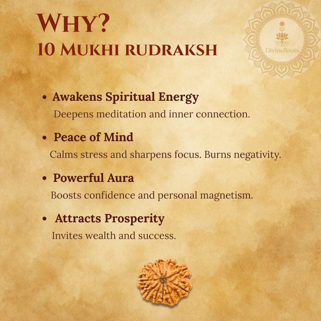 Promotional graphic for 10 Mukhi Rudraksh with benefits listed on a textured background.