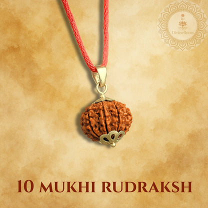10 Mukhi Rudraksh pendant on a red thread with gold accent against a beige background