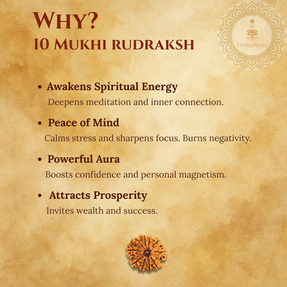 Promotional graphic for 10 Mukhi Rudraksh with benefits listed on a textured brown background.