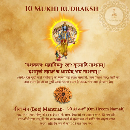 10 Mukhi Rudraksh with religious text and design on a beige background