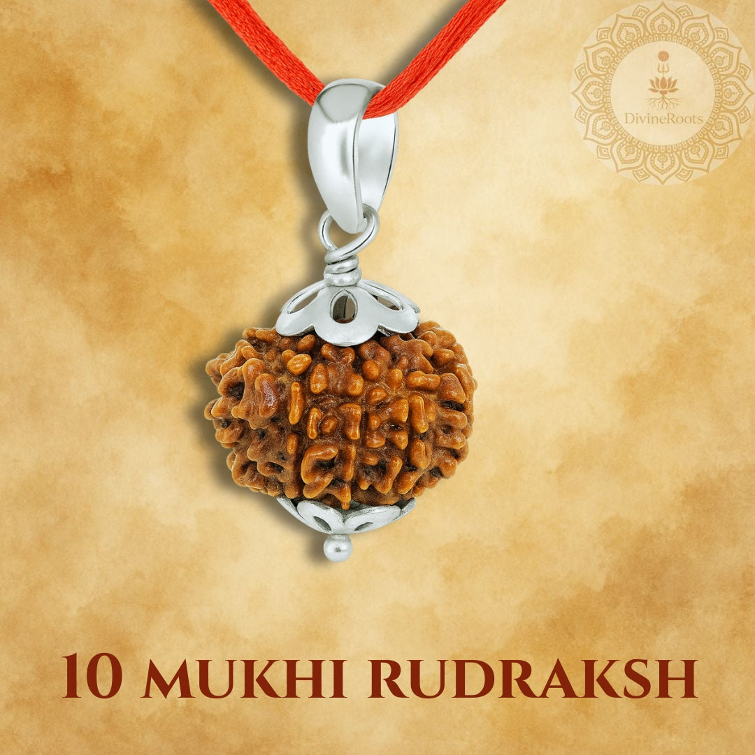 10 Mukhi Rudraksh pendant with silver setting on a red cord against a beige background