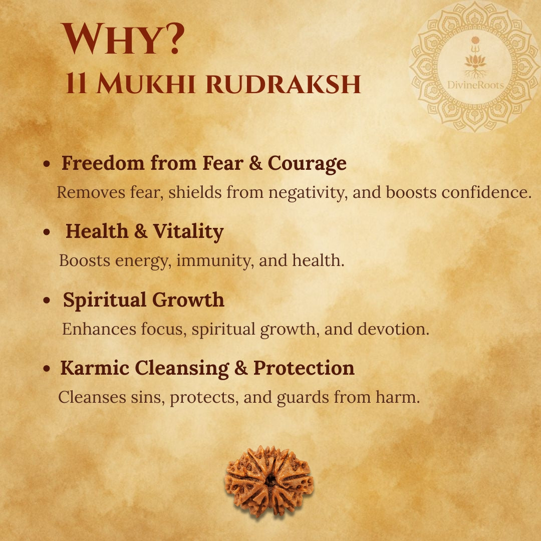 Promotional graphic for 11 Mukhi Rudraksh with benefits listed on a textured background.