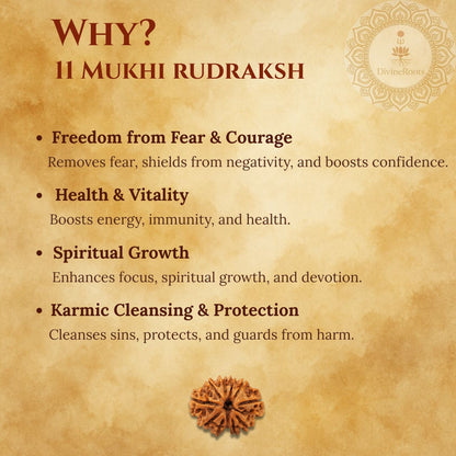 Promotional graphic for 11 Mukhi Rudraksh with benefits listed on a textured background.