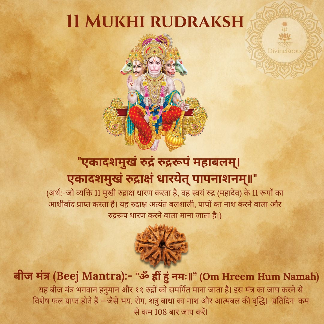 11 Mukhi Rudraksh with decorative text and design on a textured background