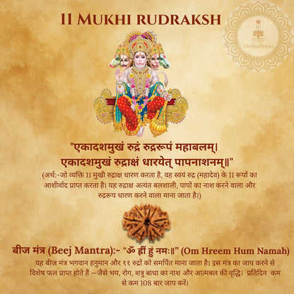 11 Mukhi Rudraksh with decorative text and design on a textured background