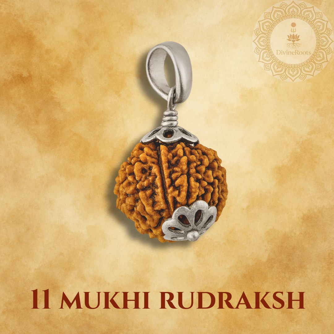 11 Mukhi Rudraksh pendant with silver setting on a beige background
