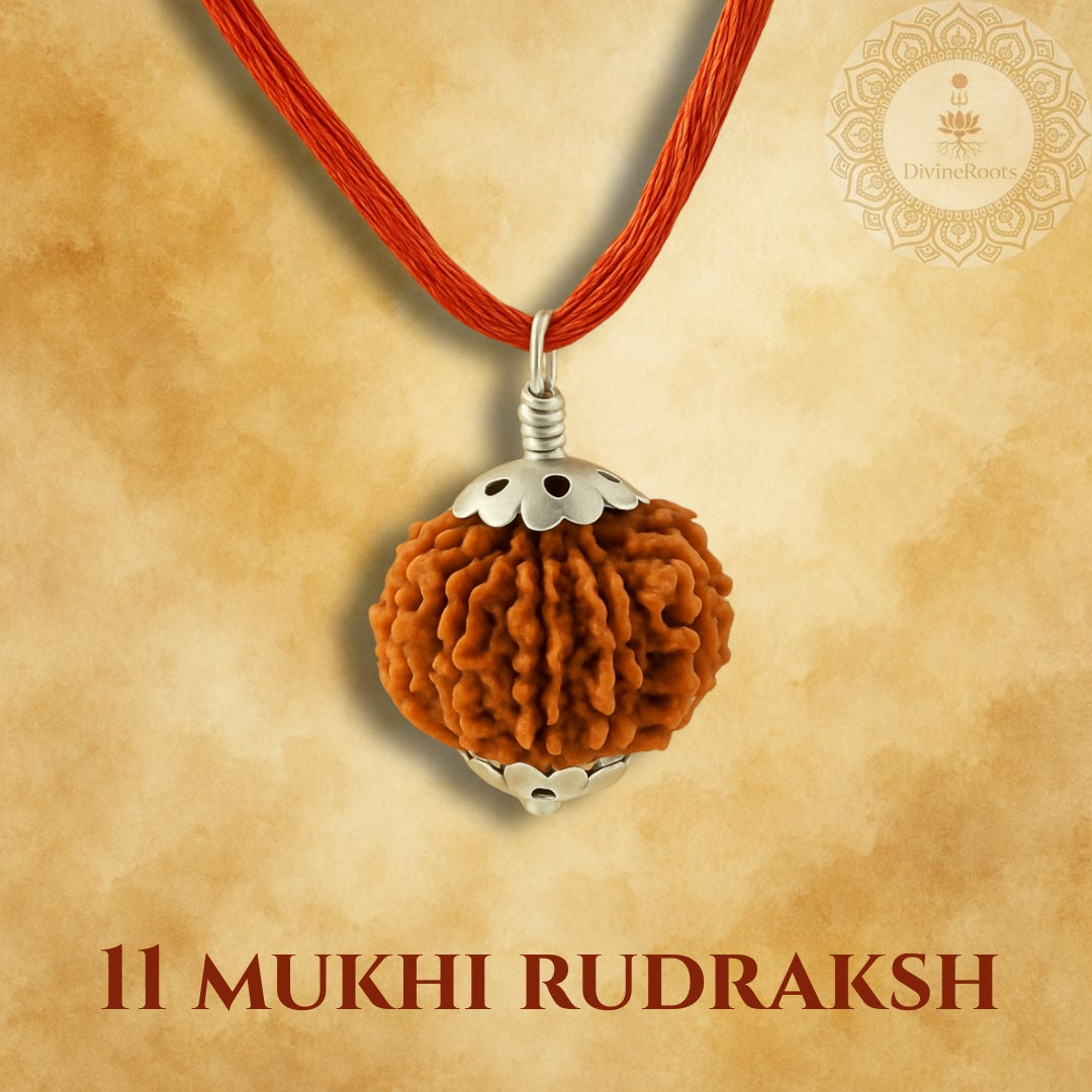 11 Mukhi Rudraksh pendant on a red cord with a beige background