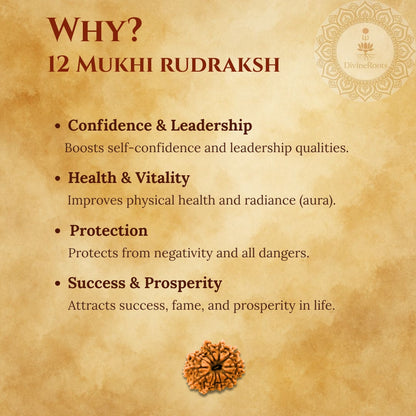 Promotional graphic for 12 Mukhi Rudraksh with benefits listed on a textured background.