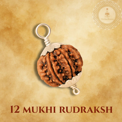 12 Mukhi Rudraksh pendant on a beige background with a brand logo.