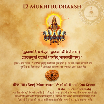 12 Mukhi Rudraksh with Shiva on a horse and text on a brown background