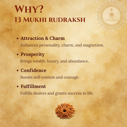 Promotional graphic for 13 Mukhi Rudraksh with benefits listed on a textured brown background.