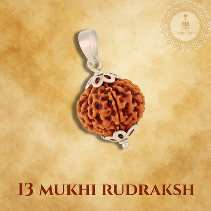 13 Mukhi Rudraksh pendant with silver setting on a beige background