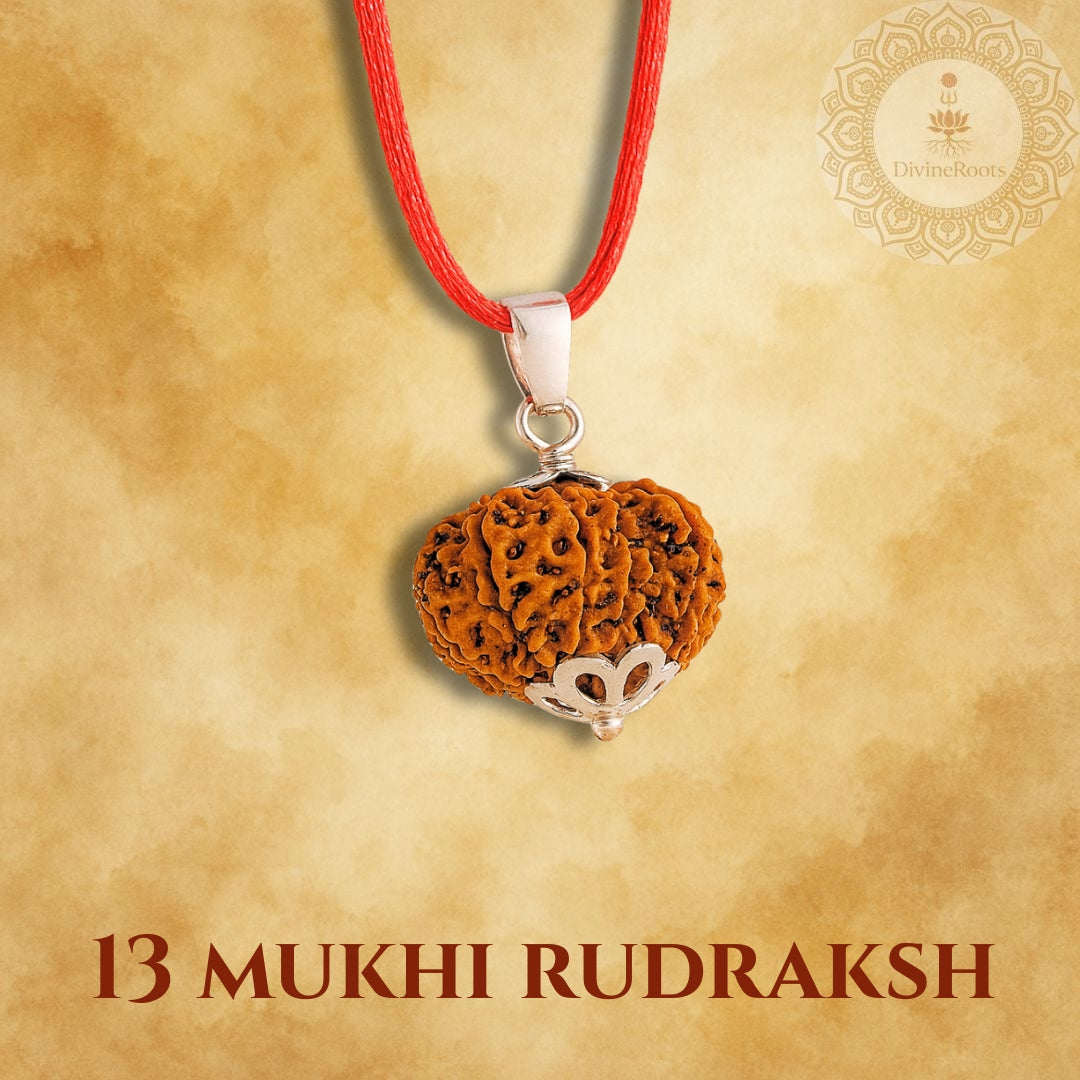 13 Mukhi Rudraksh pendant on a red string with a gold background