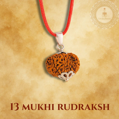 13 Mukhi Rudraksh pendant on a red string with a gold background