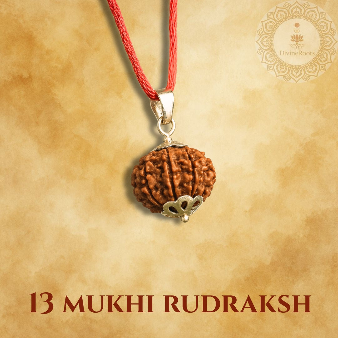13 Mukhi Rudraksh pendant on a red thread with a gold emblem against a beige background